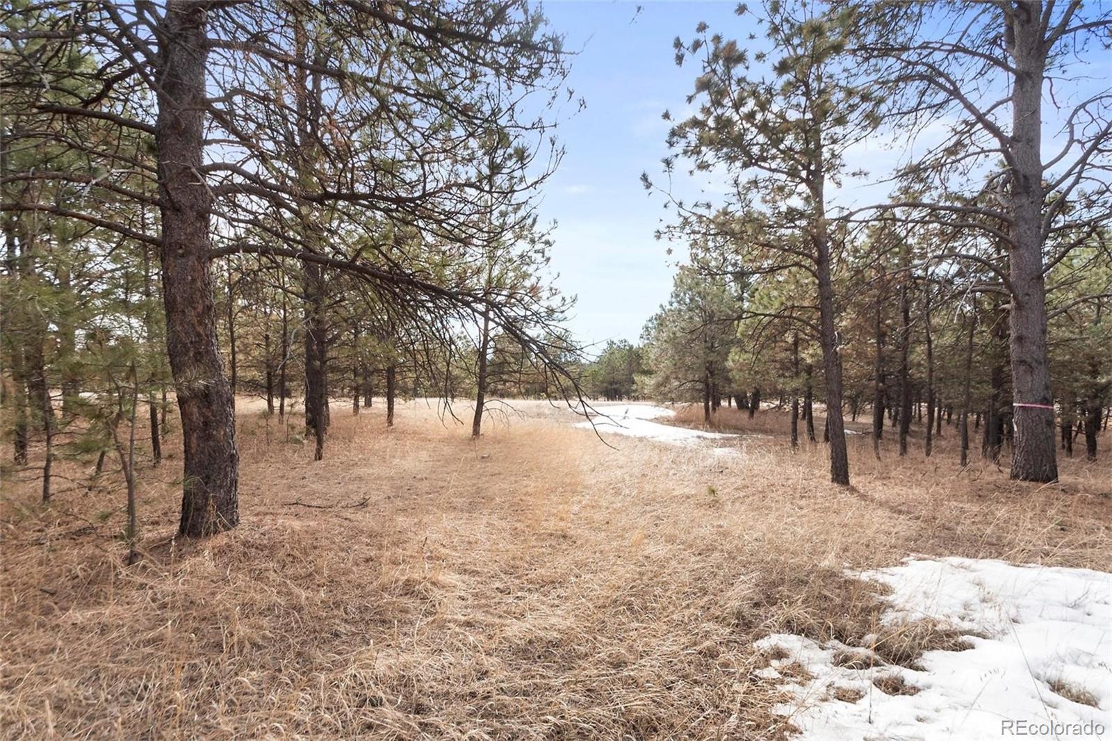 15364 Pole Pine Point Colorado Springs, CO 80908 - Photo 24 of 30