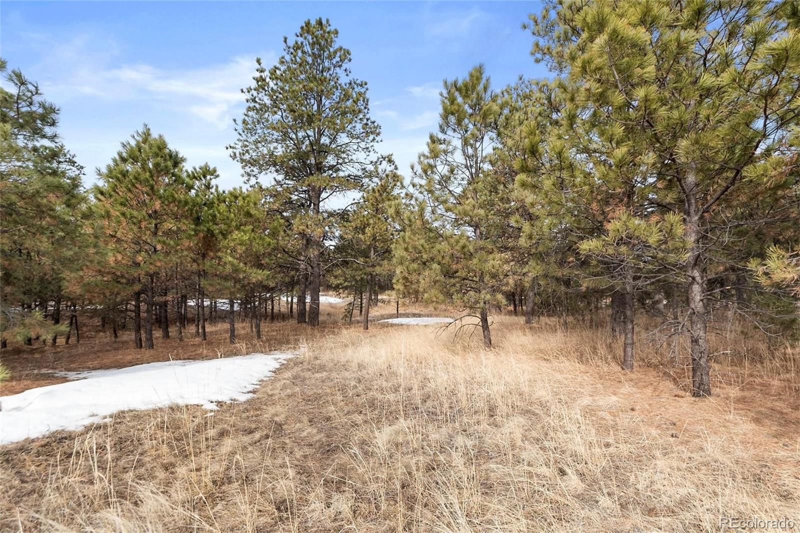 15364 Pole Pine Point Colorado Springs, CO 80908 - Photo 25 of 30