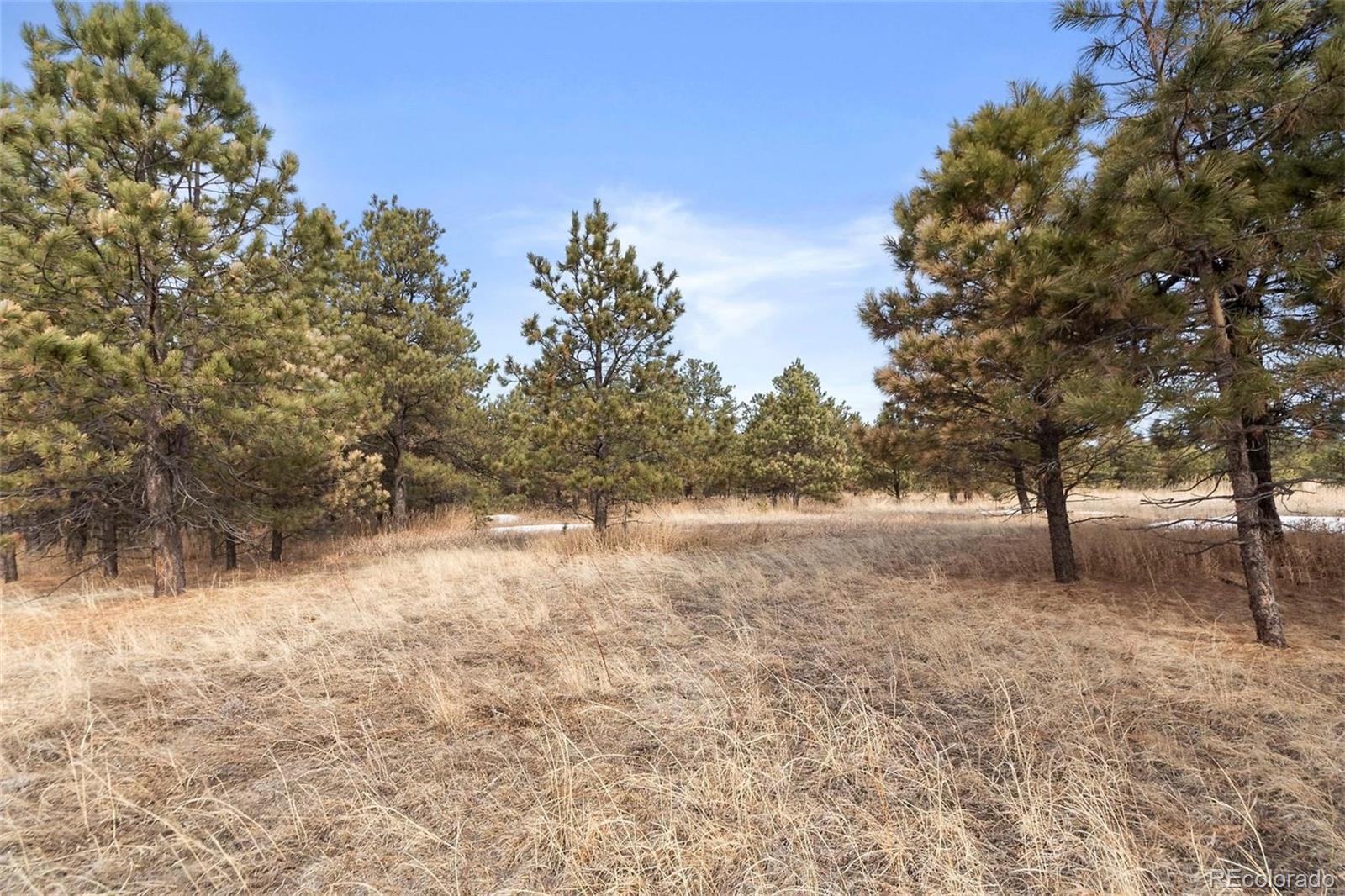 15364 Pole Pine Point Colorado Springs, CO 80908 - Photo 26 of 30