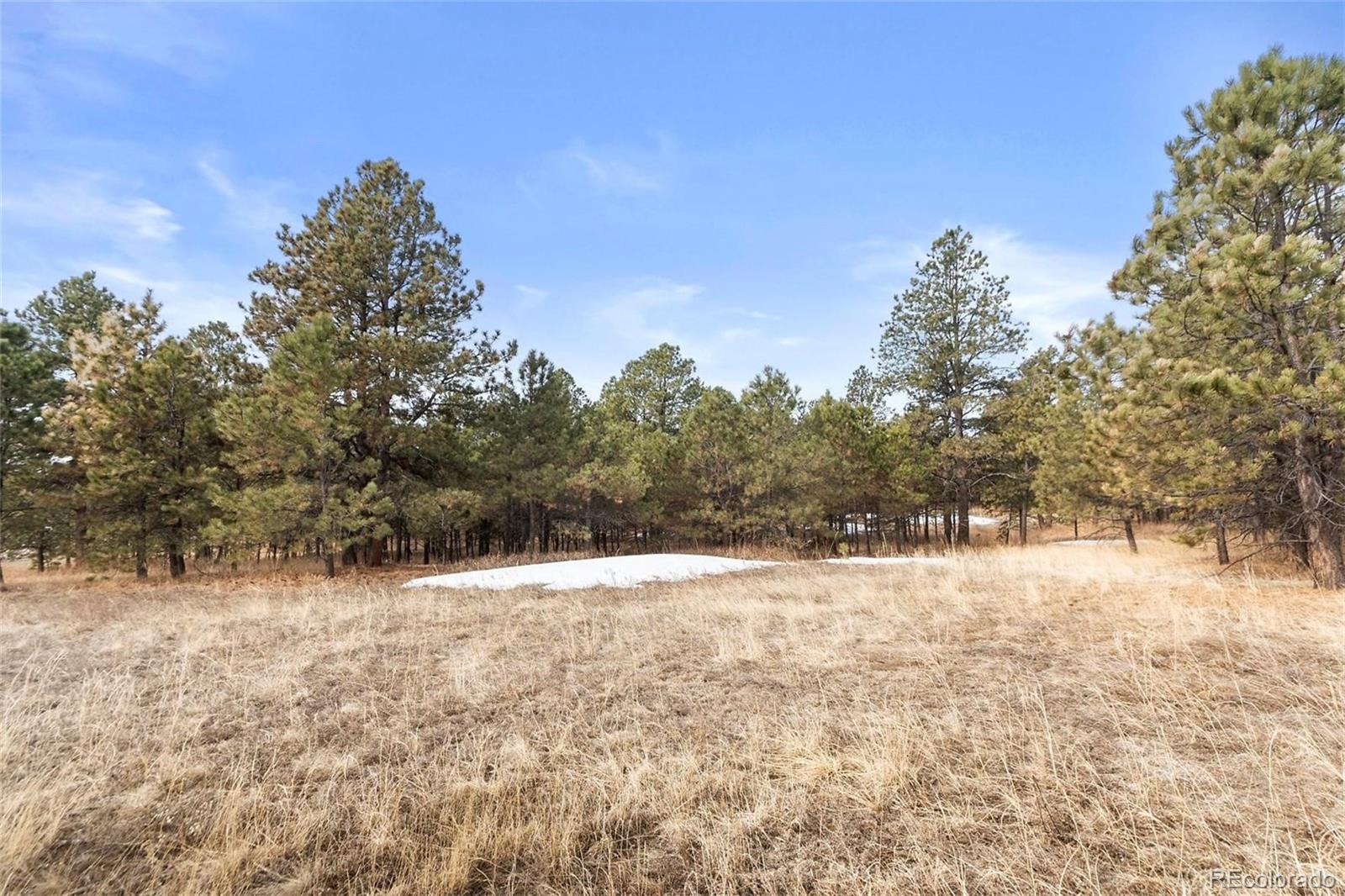 15364 Pole Pine Point Colorado Springs, CO 80908 - Photo 27 of 30