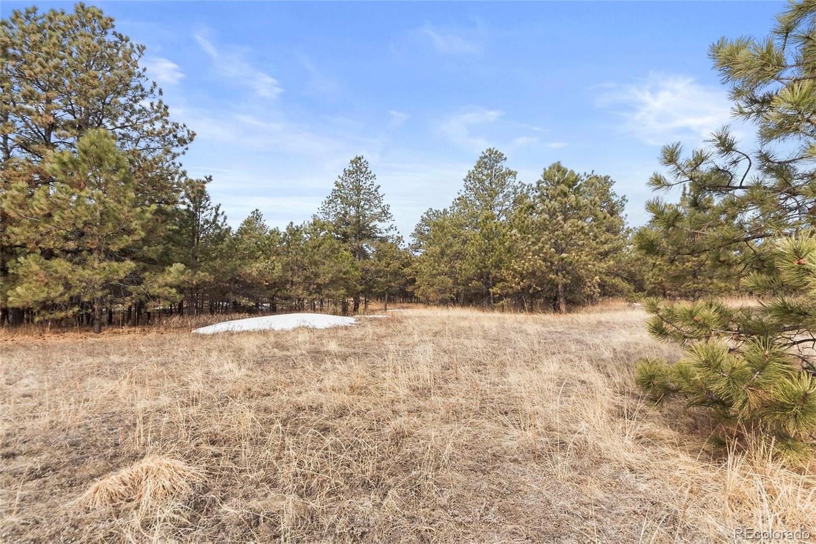 15364 Pole Pine Point Colorado Springs, CO 80908 - Photo 28 of 30