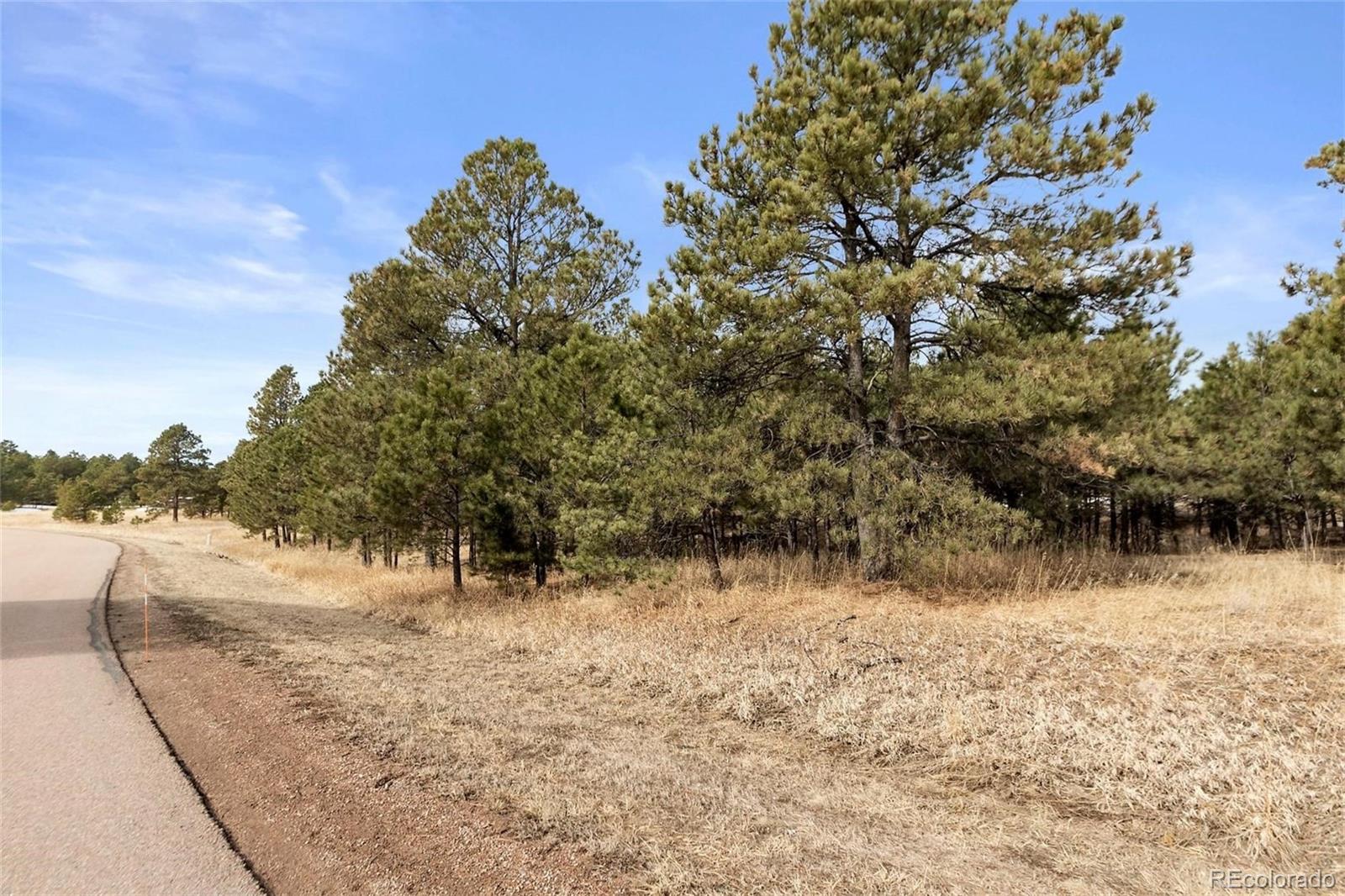 15364 Pole Pine Point Colorado Springs, CO 80908 - Photo 30 of 30