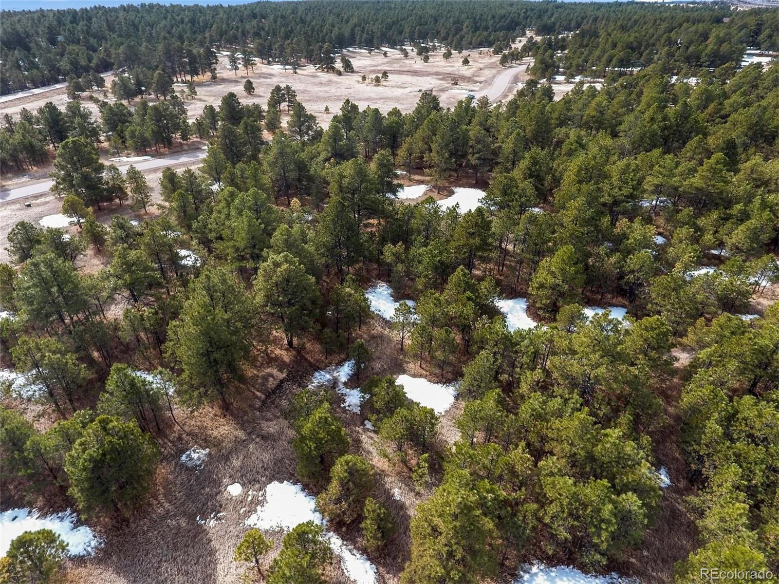 15364 Pole Pine Point Colorado Springs, CO 80908 - Photo 3 of 30