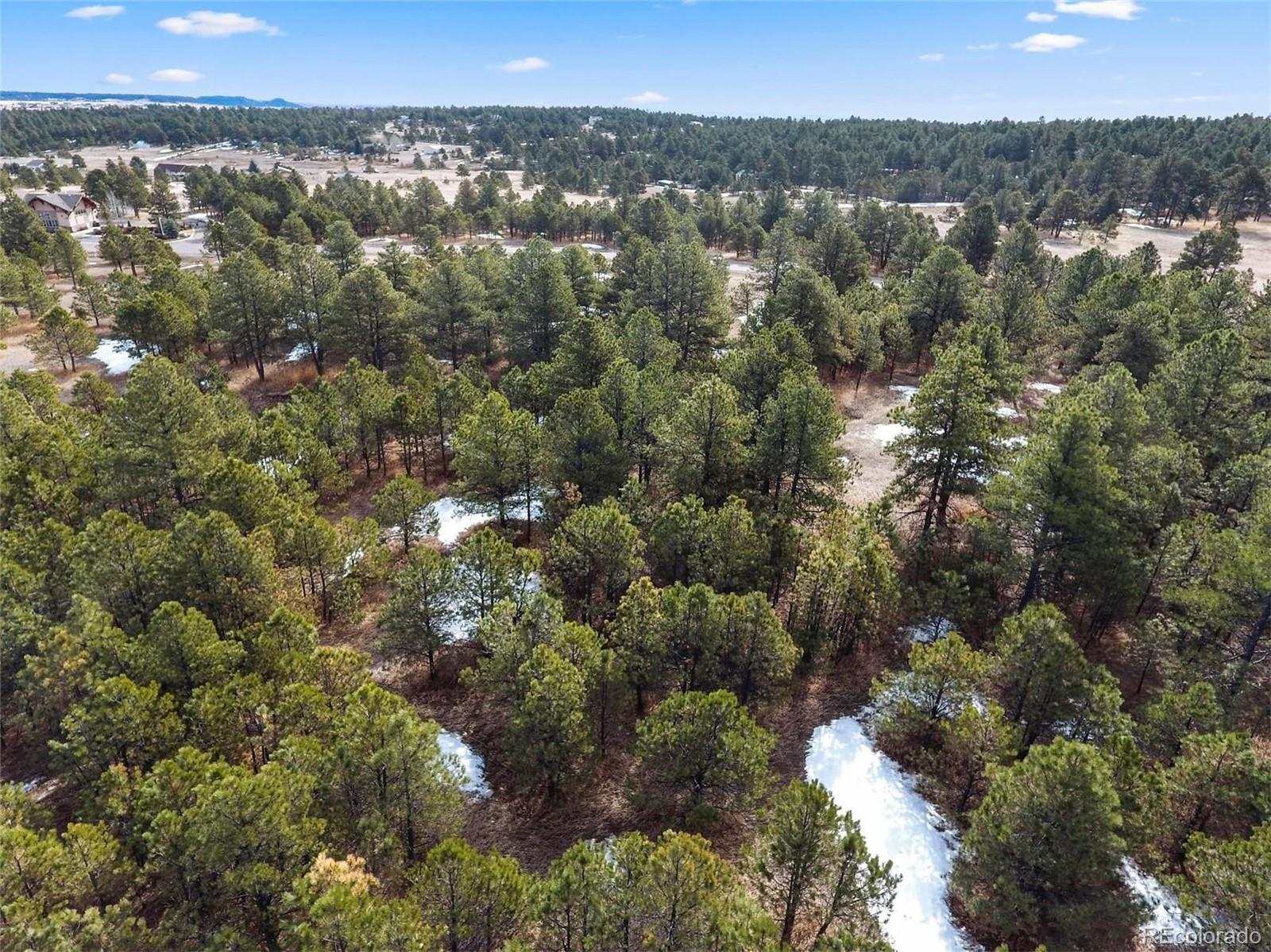 15364 Pole Pine Point Colorado Springs, CO 80908 - Photo 4 of 30
