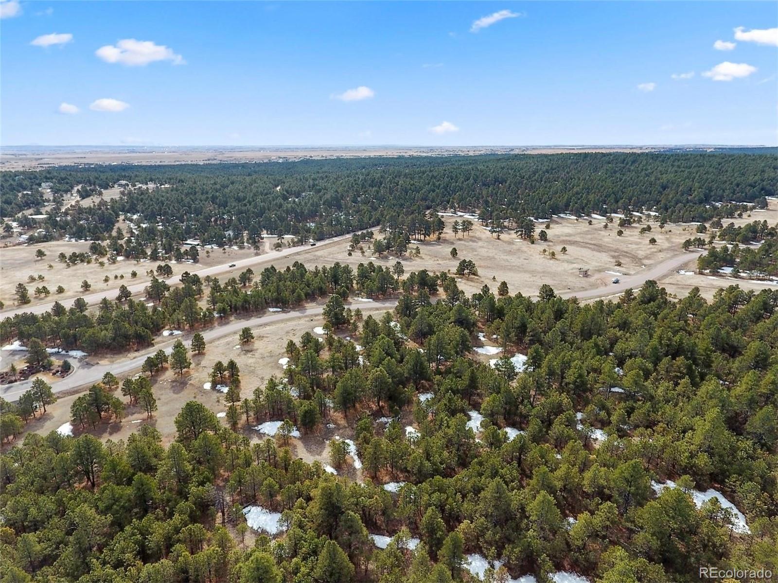 15364 Pole Pine Point Colorado Springs, CO 80908 - Photo 6 of 30