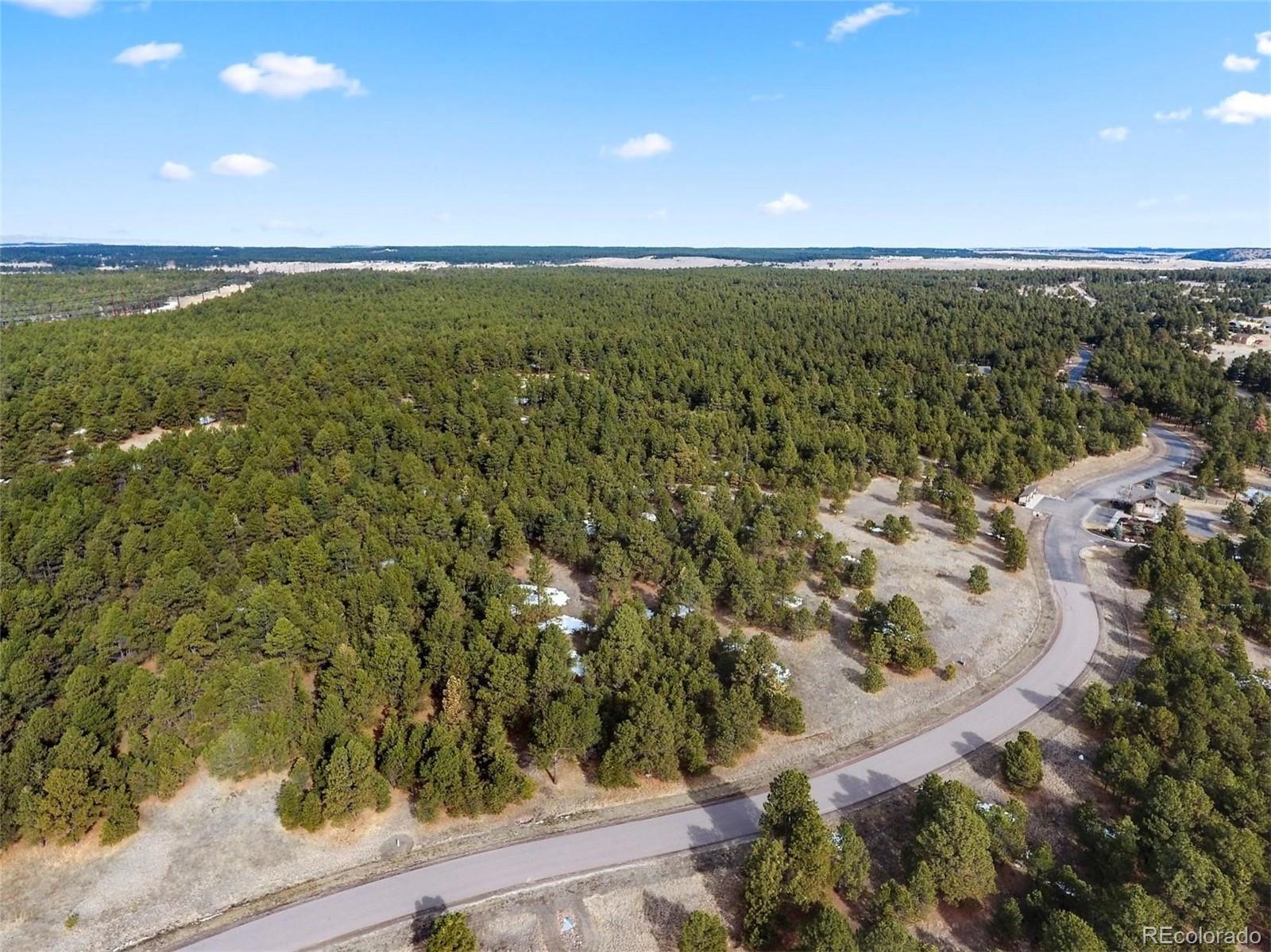 15364 Pole Pine Point Colorado Springs, CO 80908 - Photo 7 of 30