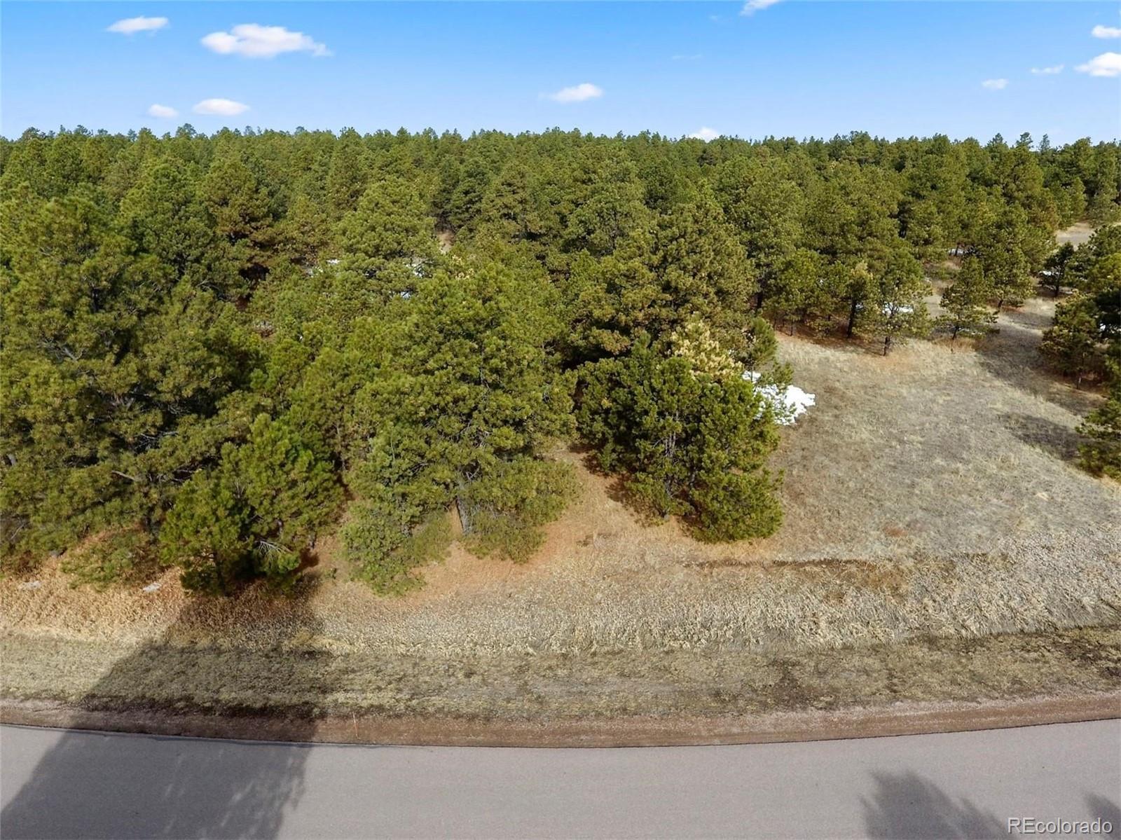 15364 Pole Pine Point Colorado Springs, CO 80908 - Photo 8 of 30