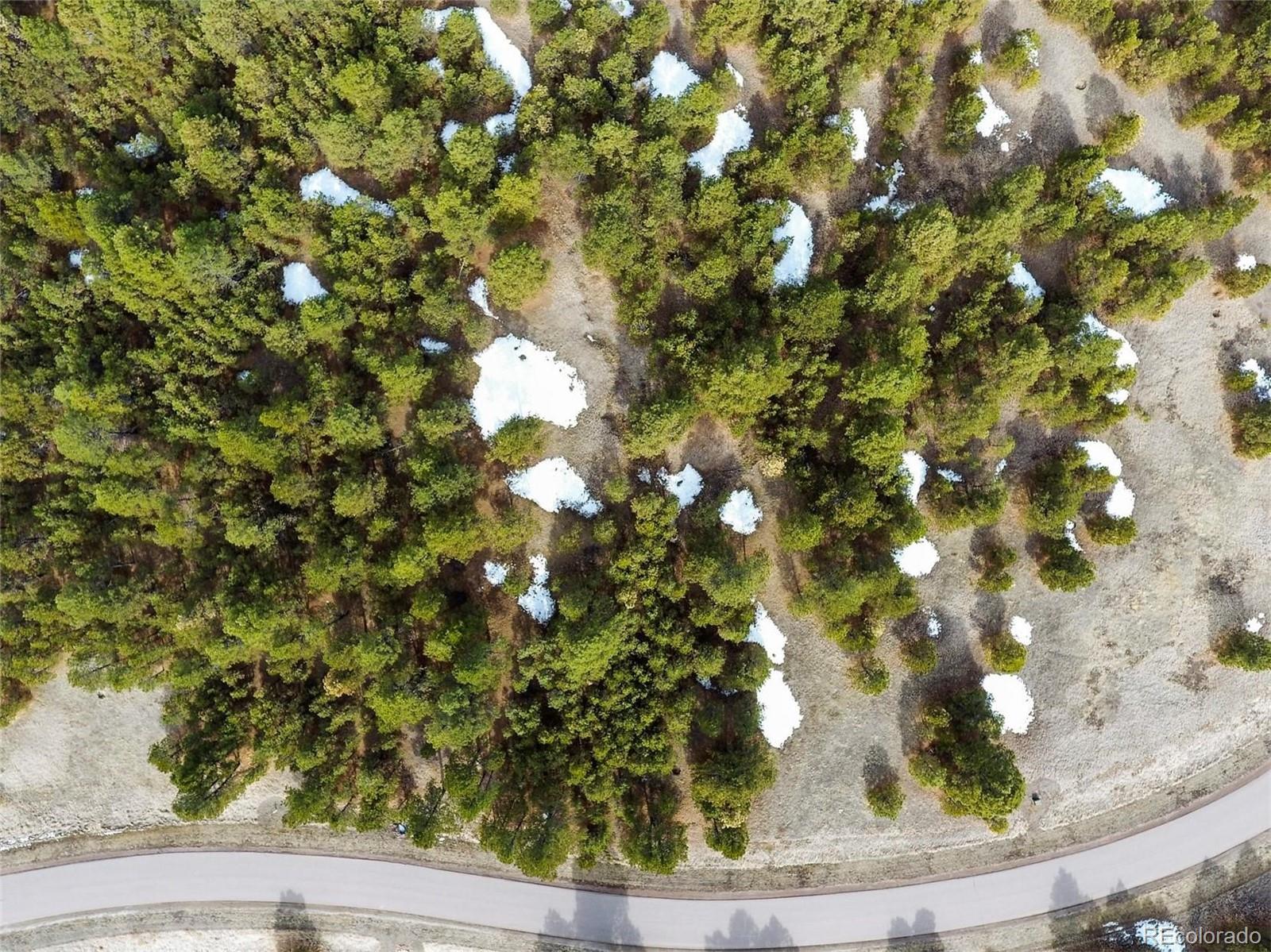 15364 Pole Pine Point Colorado Springs, CO 80908 - Photo 9 of 30