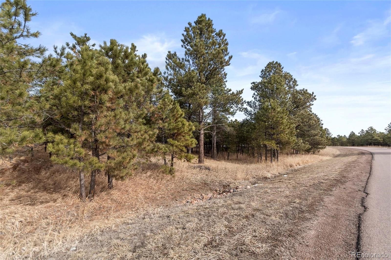 15364 Pole Pine Point Colorado Springs, CO 80908 - Photo 10 of 30