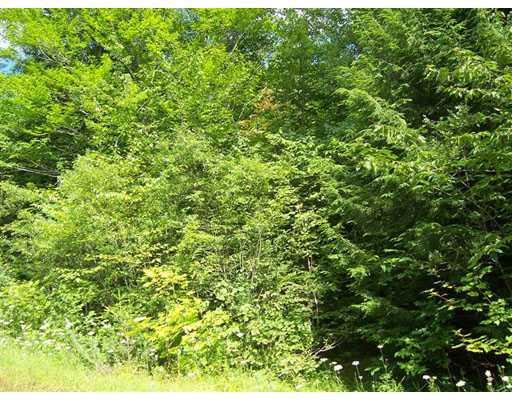 Lot 10 Wessnette Road Hampden, ME 04444 - Photo 5 of 19 Land/Lot.
