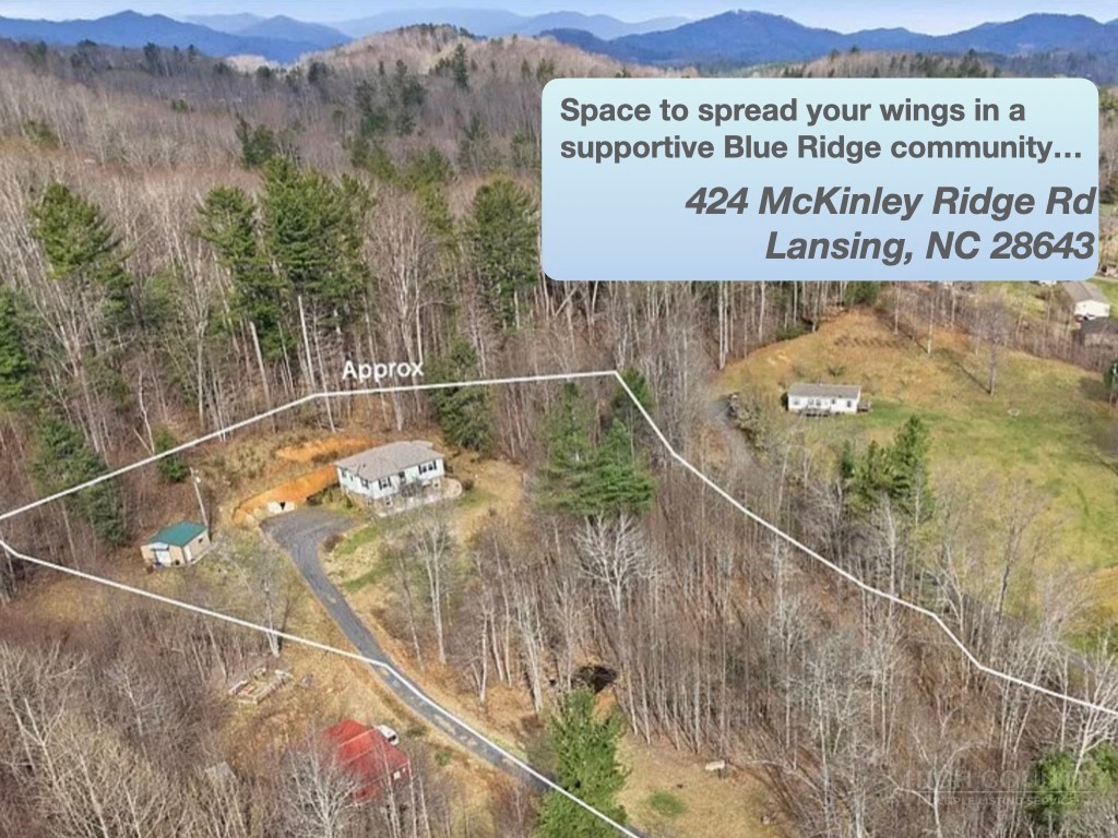 424 Mckinley Ridge Road Lansing, NC 28643 - Photo 39 of 41