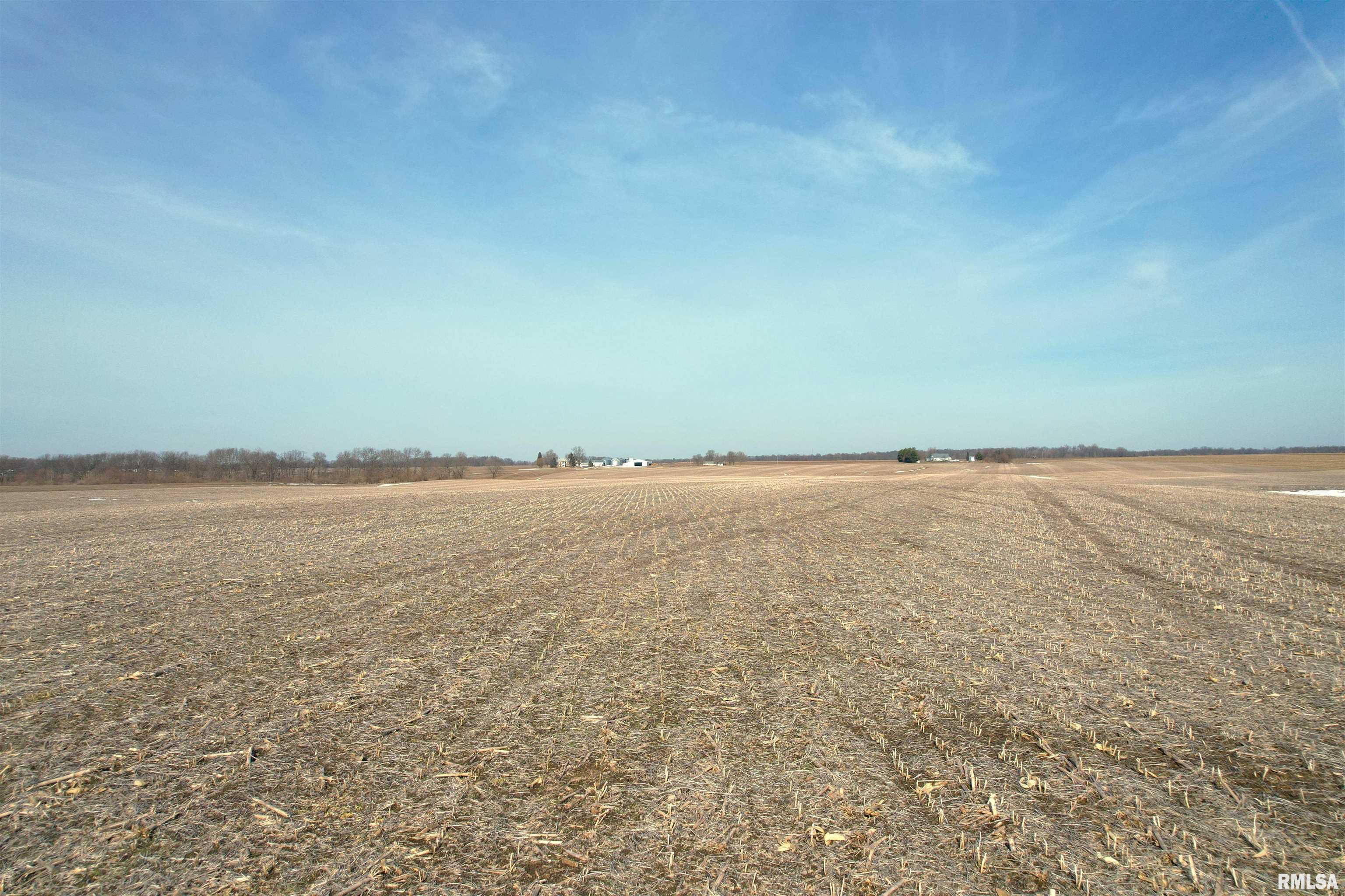 0 Merritt Blacktop Road Winchester, IL 62694 - Photo 8 of 14