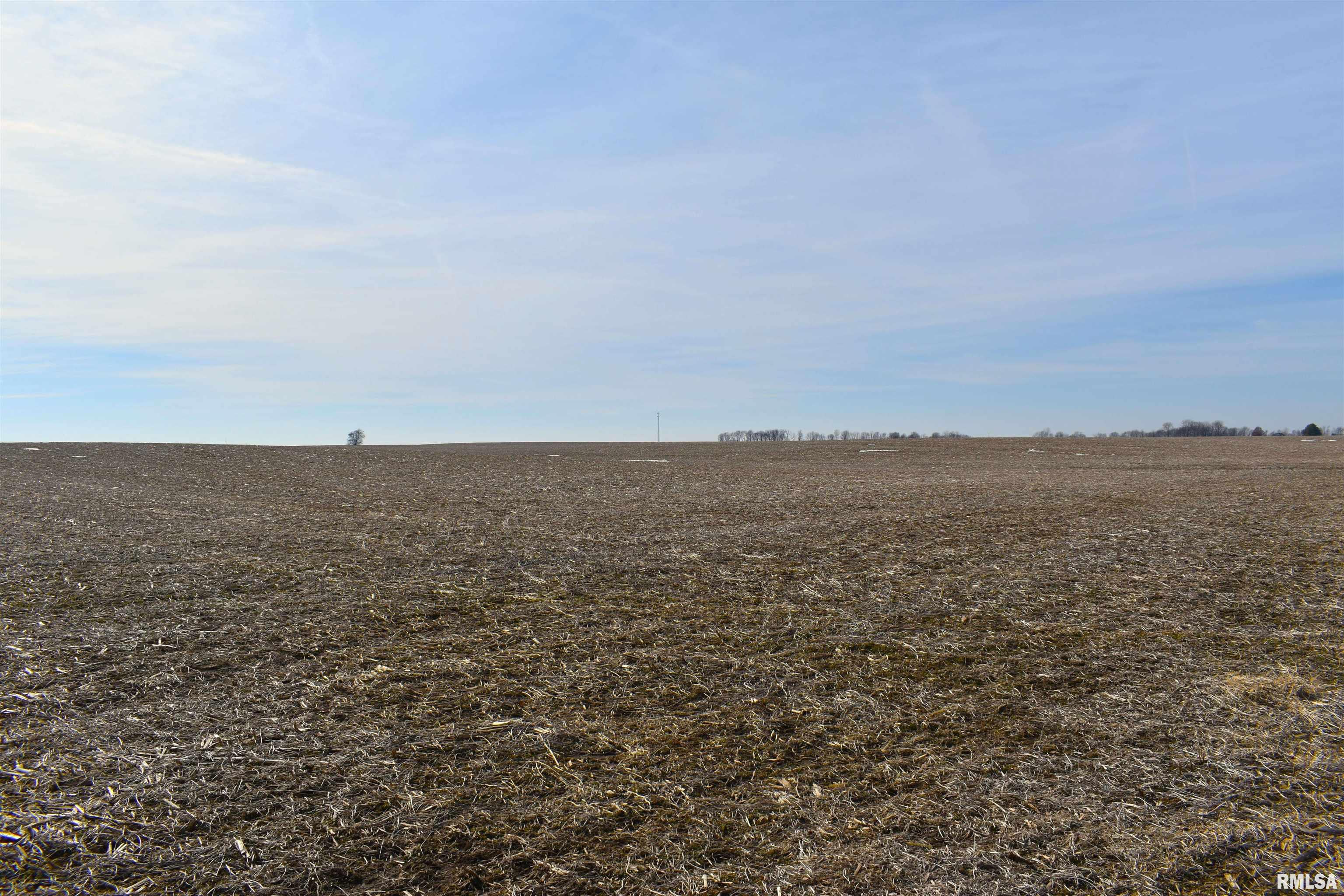 0 Merritt Blacktop Road Winchester, IL 62694 - Photo 9 of 14