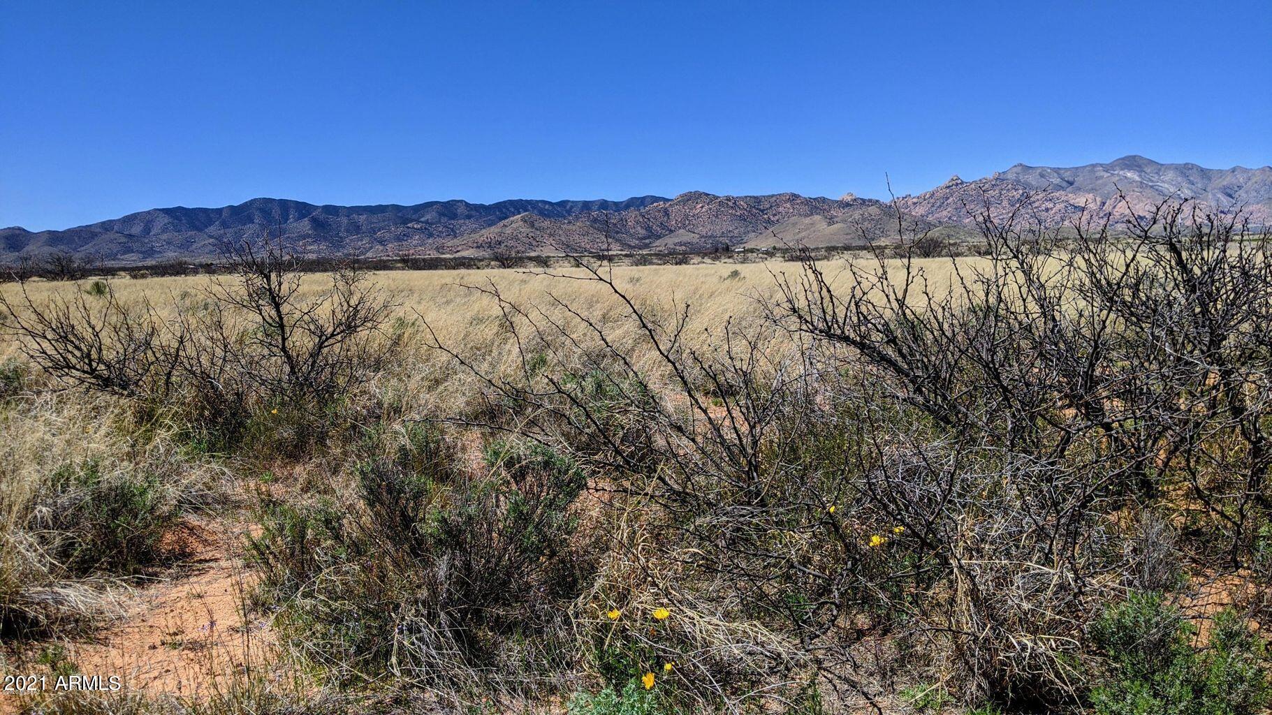 83 Acre On Spruce Road Pearce, AZ 85625 - Photo 1 of 7 0.83AC Spruce Rd. (7)