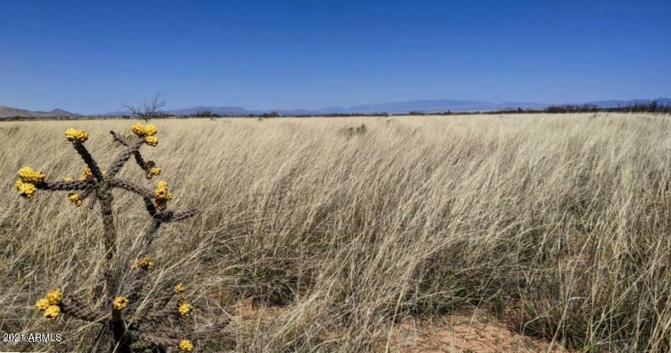 83 Acre On Spruce Road Pearce, AZ 85625 - Photo 2 of 7 0.83AC Spruce Rd. (2)