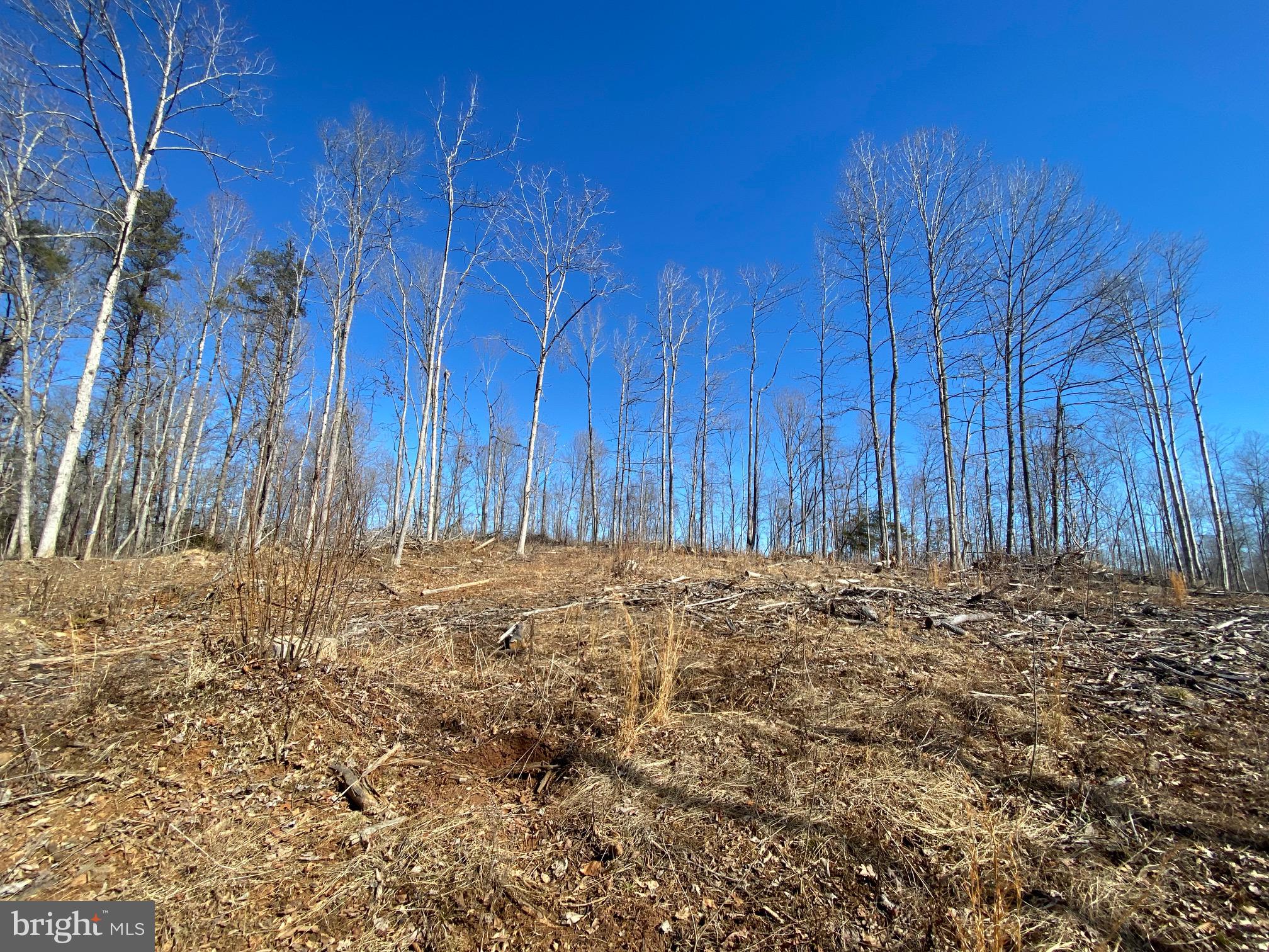 Lot 1 Scotts Mill Road Culpeper, VA 22701 - Photo 3 of 9 Looking up to hilltop house site