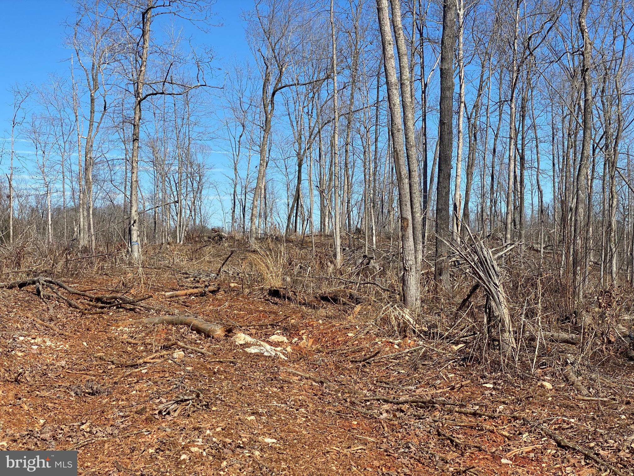 Lot 1 Scotts Mill Road Culpeper, VA 22701 - Photo 4 of 9 house site