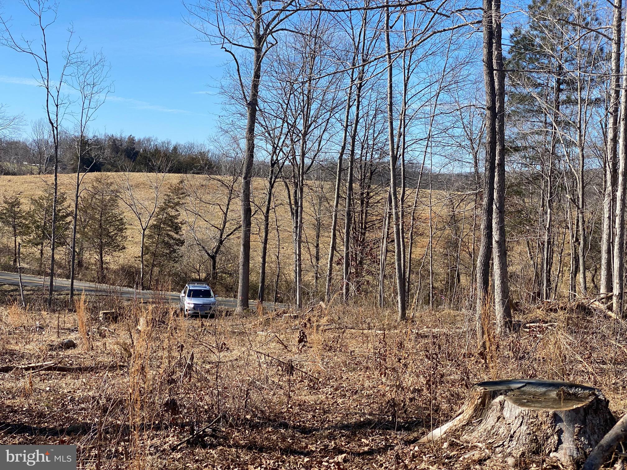 Lot 1 Scotts Mill Road Culpeper, VA 22701 - Photo 7 of 9 Shared driveway entrance