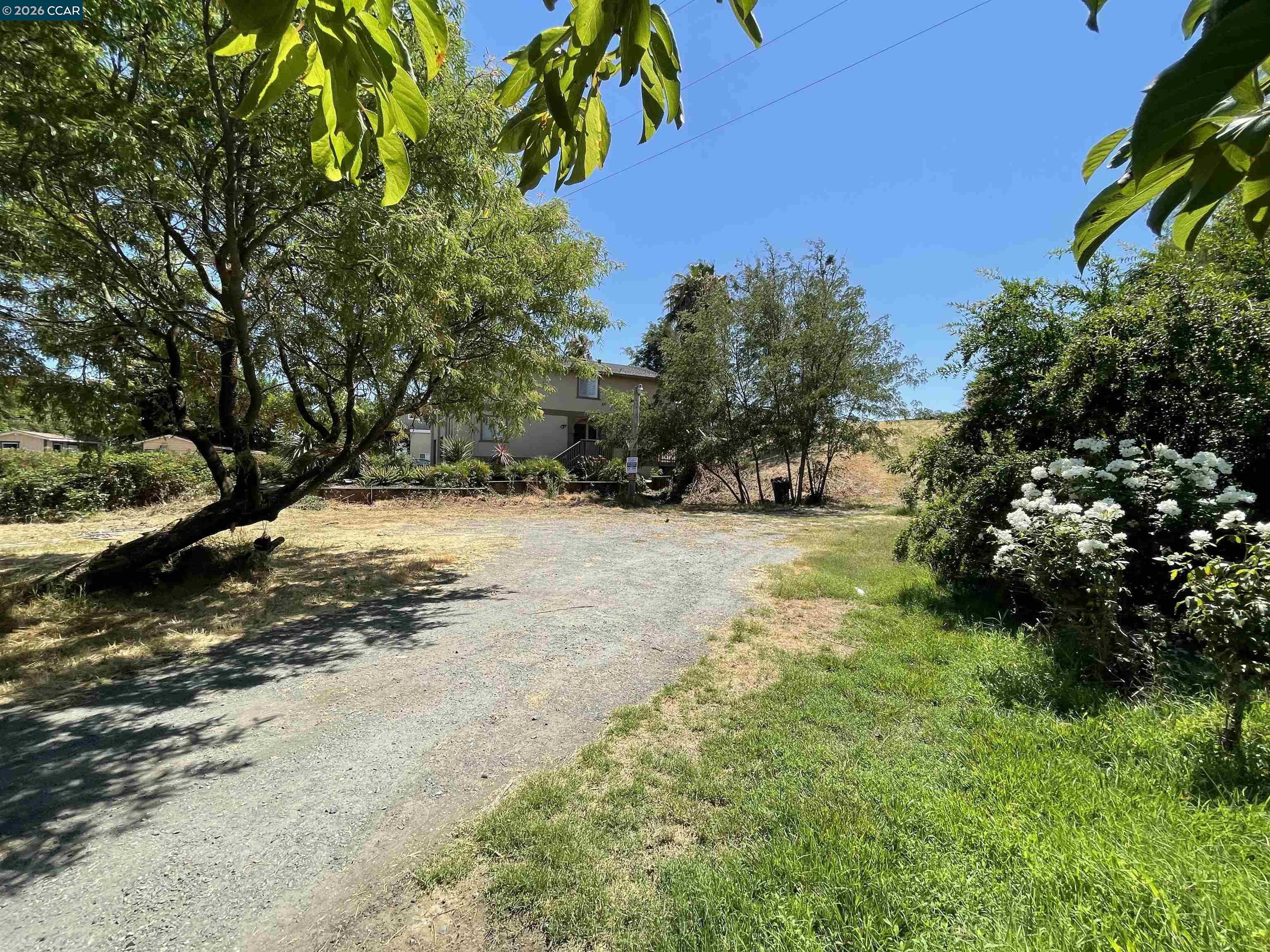 1766 Taylor Road Bethel Island, CA 94511 - Photo 11 of 22 a view of a yard with trees