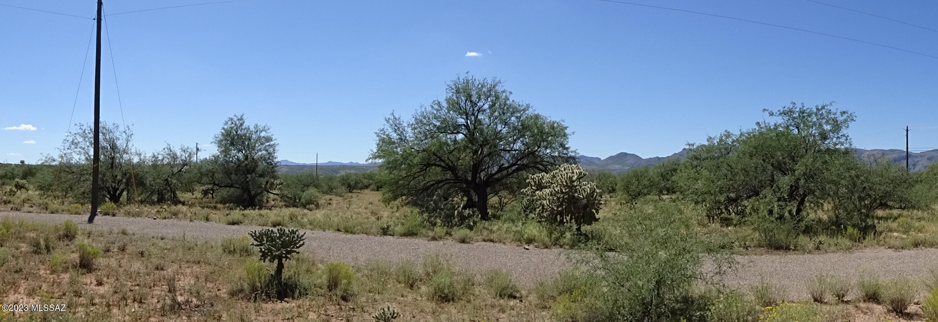 1722 Pera Court, Unit 7 Rio Rico, AZ 85648 - Photo 3 of 3 a view of a dry yard with trees