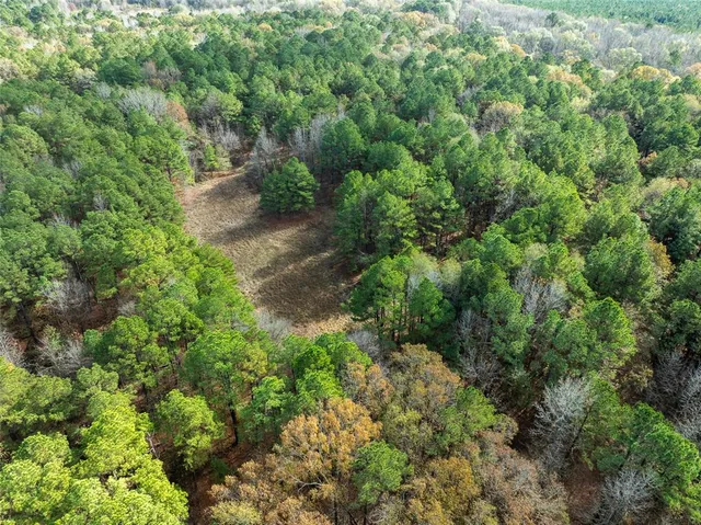 an aerial view of residential house with outdoor space and trees all around