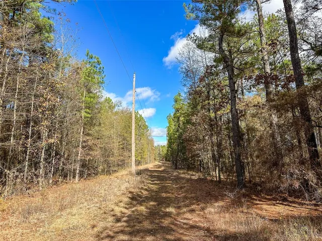 a view of a yard with tree in the background