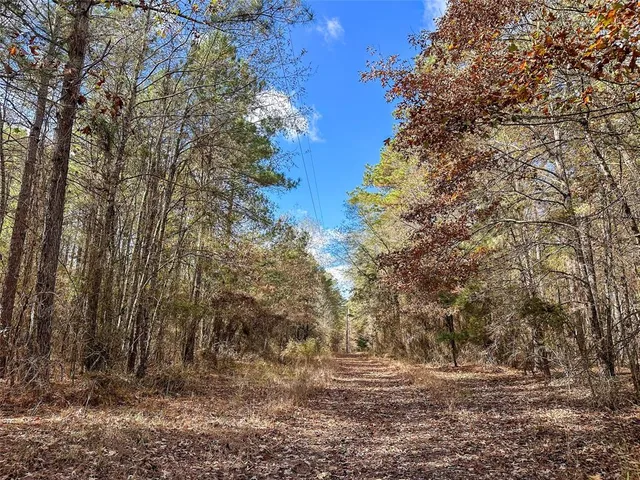 a view of dirt field with trees in the background