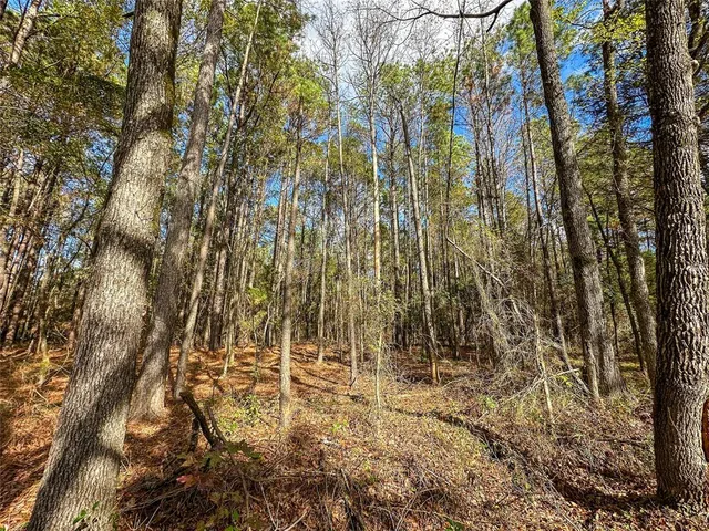 a view of a yard with a pathway
