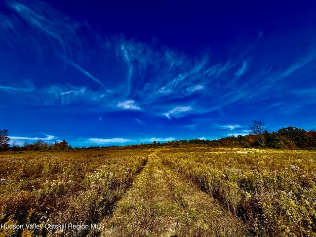 a view of a large building with mountains in the background