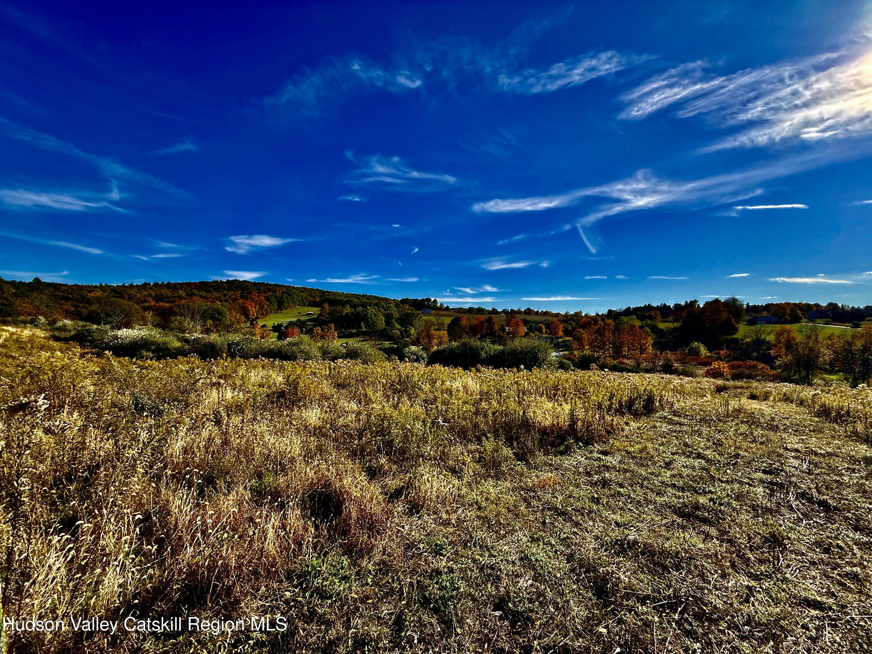 631 Rt-23 Hudson, NY 12534 - Photo 4 of 7 a view of a yard