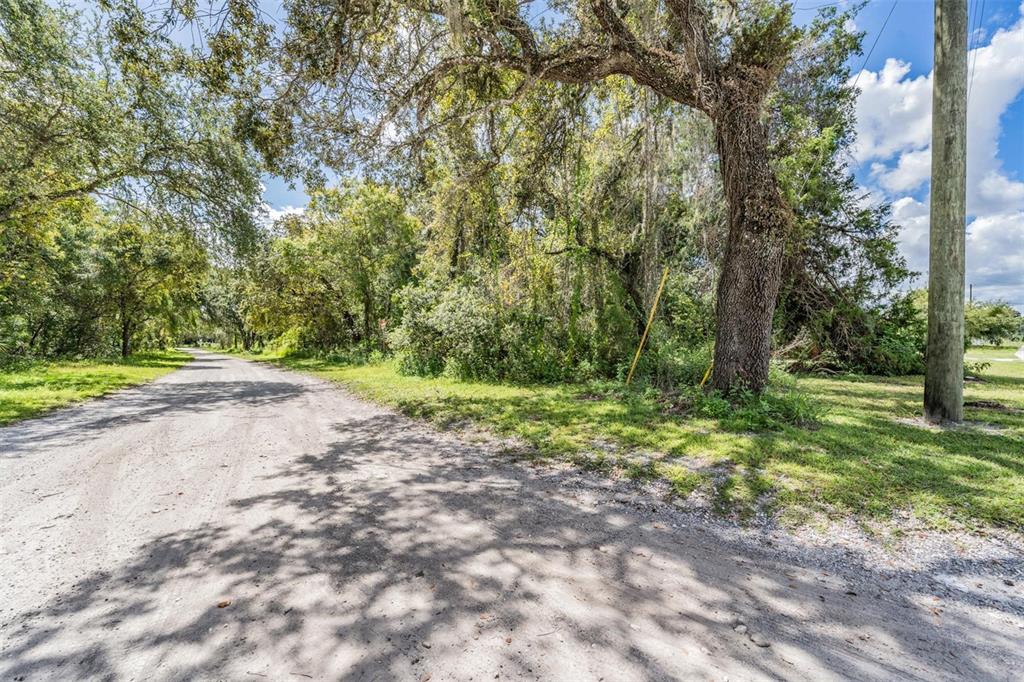 0 Giddens Road Spring Hill, FL 34610 - Photo 11 of 16 a view of outdoor space with trees