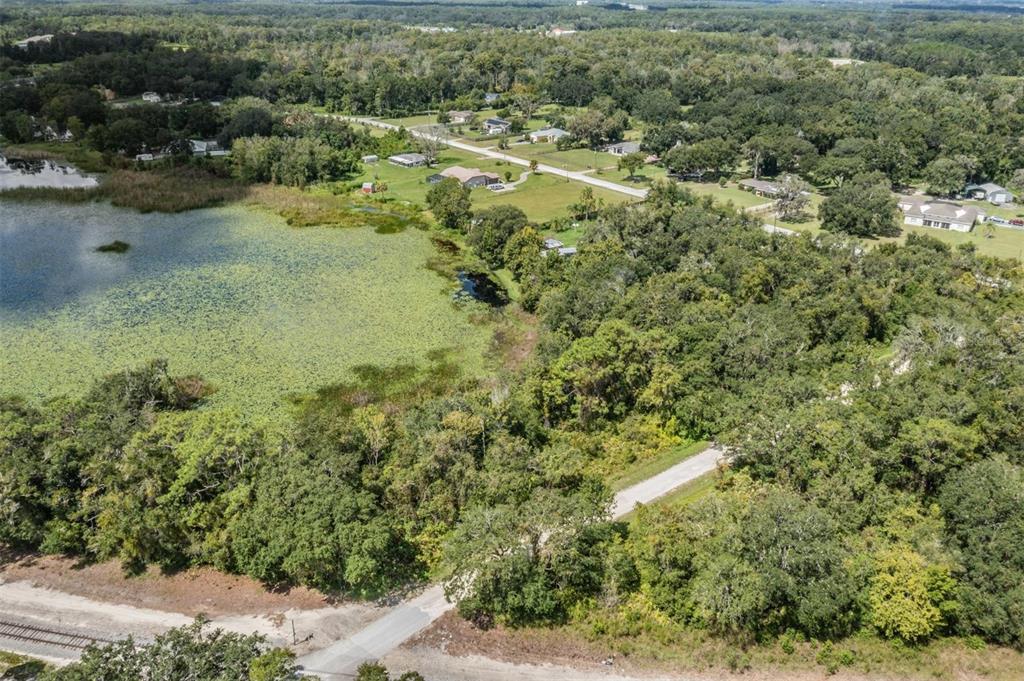 0 Giddens Road Spring Hill, FL 34610 - Photo 2 of 16 a view of a yard with plants and large trees