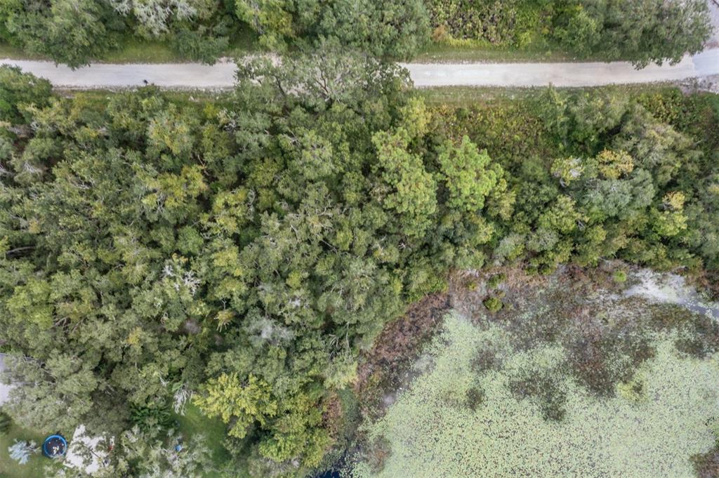 0 Giddens Road Spring Hill, FL 34610 - Photo 6 of 16 a view of a yard with a street