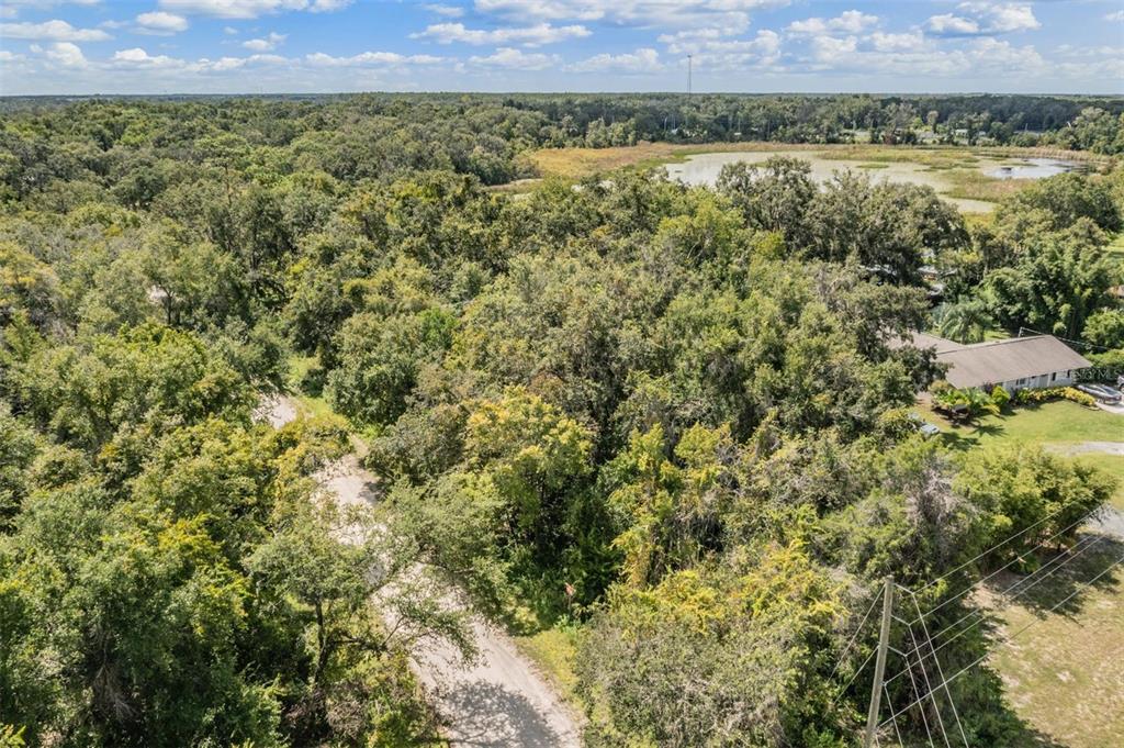 0 Giddens Road Spring Hill, FL 34610 - Photo 7 of 16 a view of a large yard with large trees