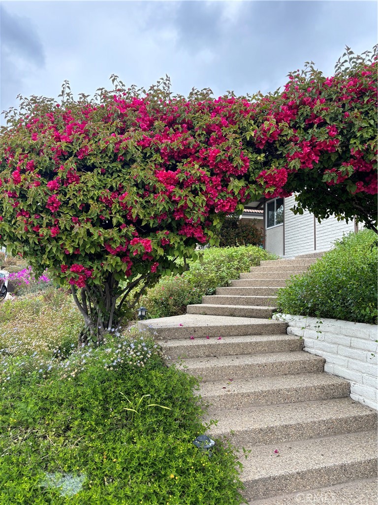 416 Meadowview Drive La Canada Flintridge, CA 91011 - Photo 2 of 35 a view of a flower arrangement in backyard