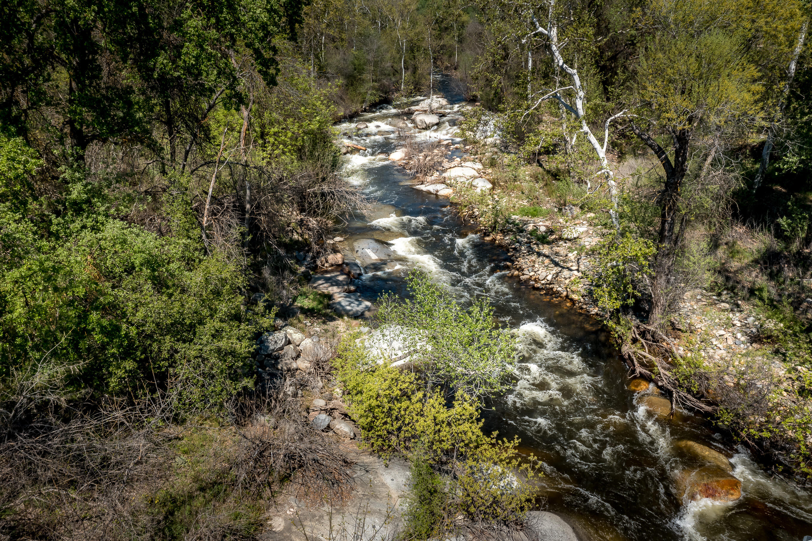 43157 Redstone Lane Three Rivers, CA 93271 - Photo 61 of 61 DJI_0962-HDR