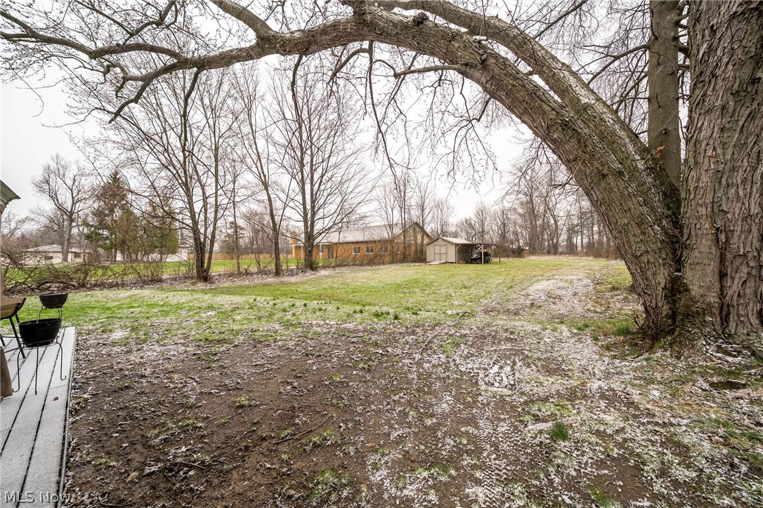 7791 Ridge Road Parma, OH 44129 - Photo 38 of 41 View of green lawn featuring an outbuilding