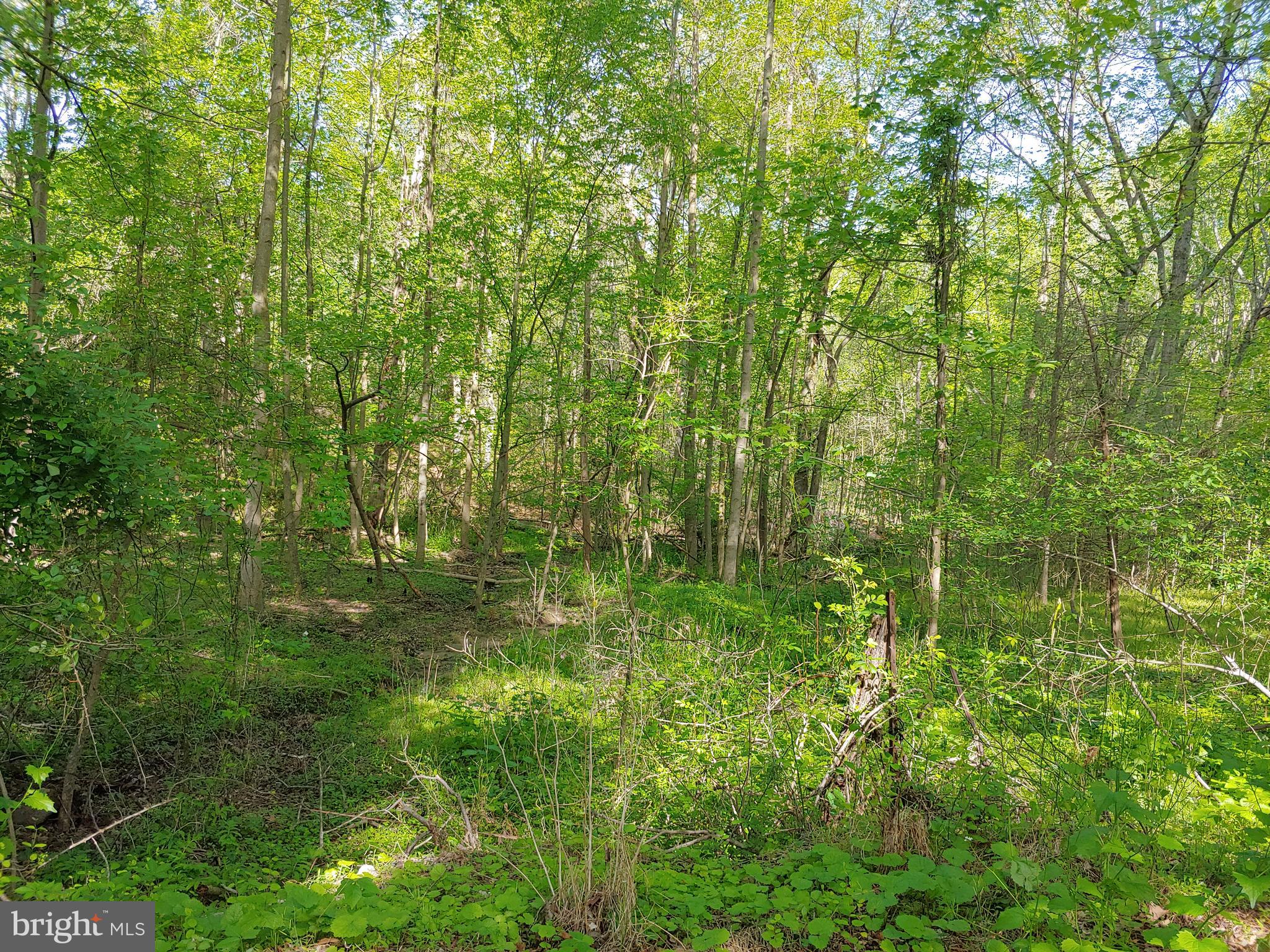 19310 Aquasco Road Brandywine, MD 20613 - Photo 78 of 92 Gallery Image 78