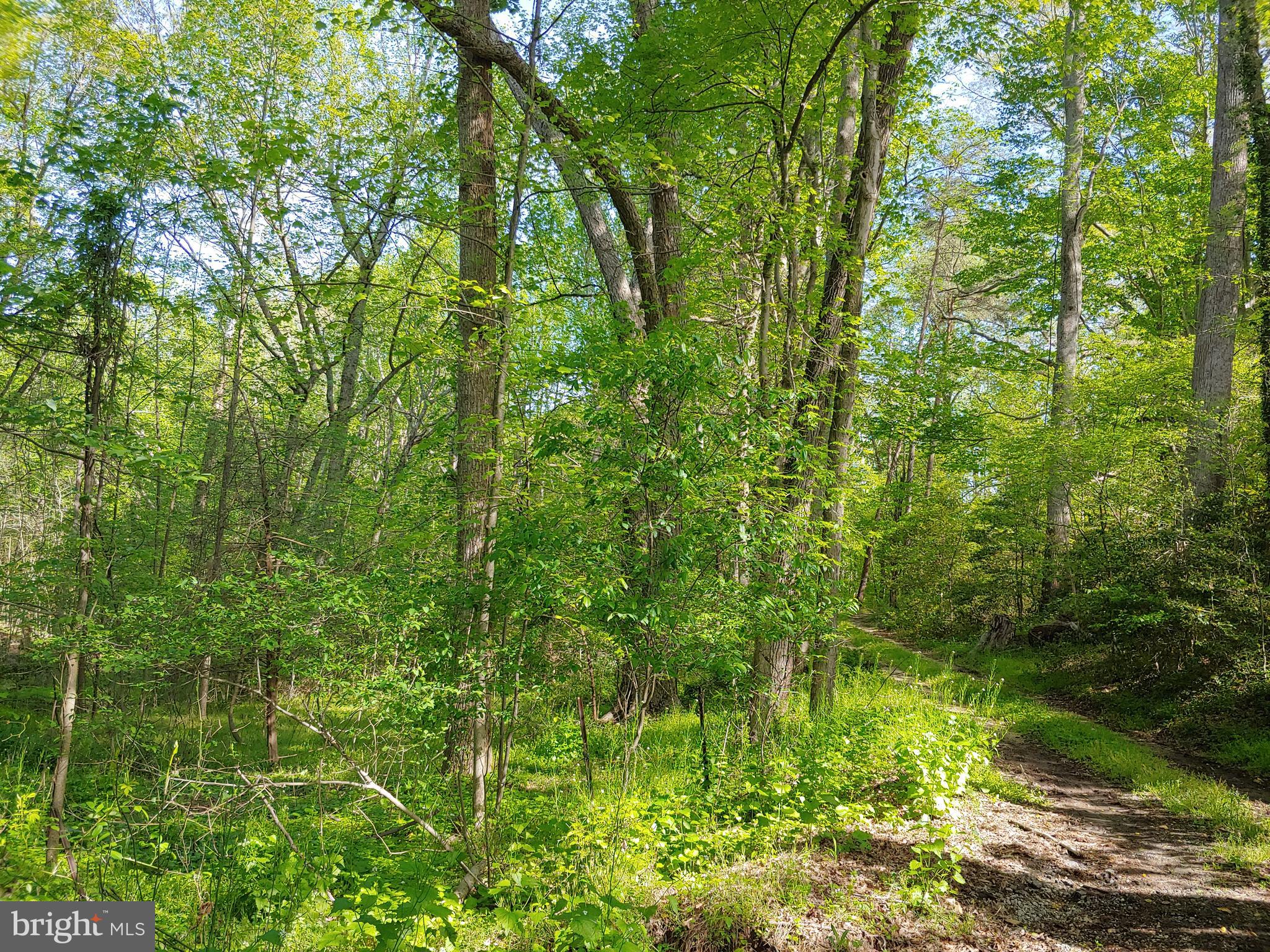 19310 Aquasco Road Brandywine, MD 20613 - Photo 79 of 92 Gallery Image 79