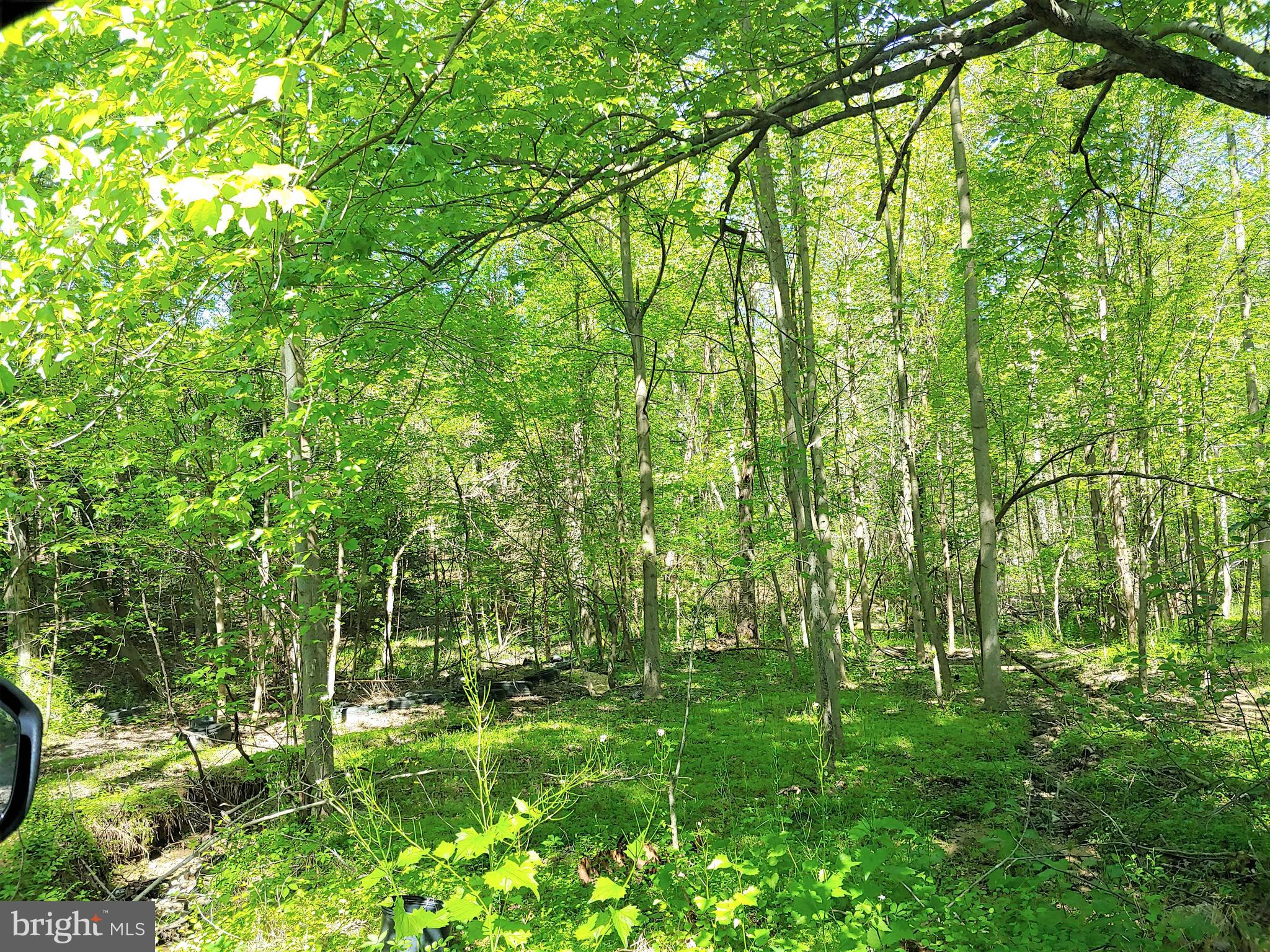 19310 Aquasco Road Brandywine, MD 20613 - Photo 90 of 92 Gallery Image 90