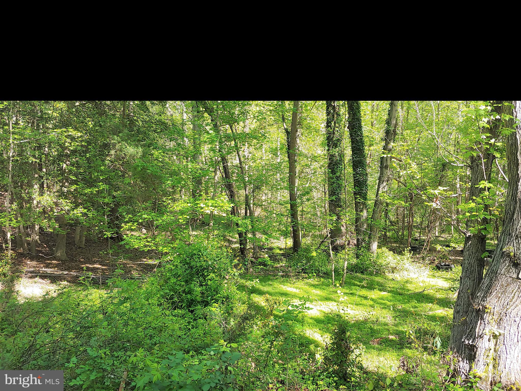 19310 Aquasco Road Brandywine, MD 20613 - Photo 91 of 92 Gallery Image 91