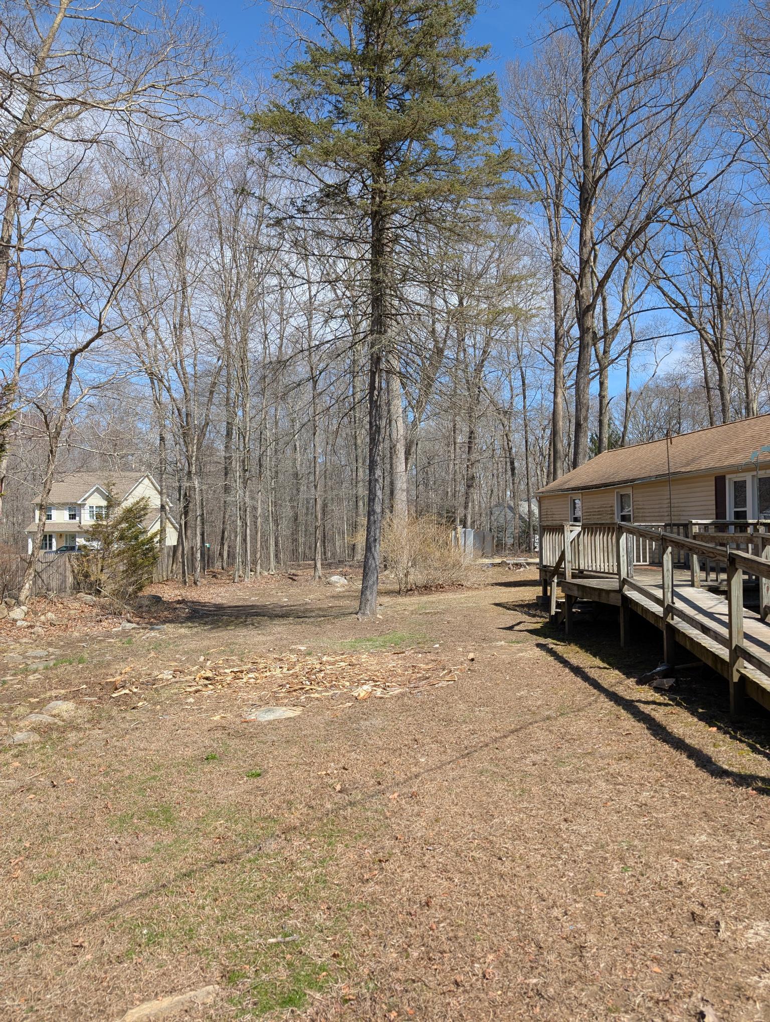 97 Bushy Hill Road Deep River, CT 06417 - Photo 11 of 26