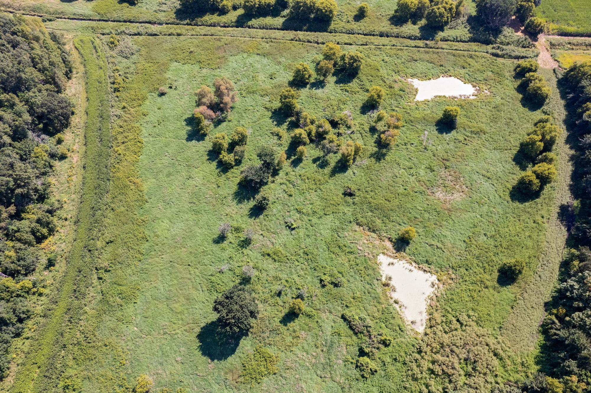 Tbd 211th Avenue Le Center, MN 56057 - Photo 20 of 37