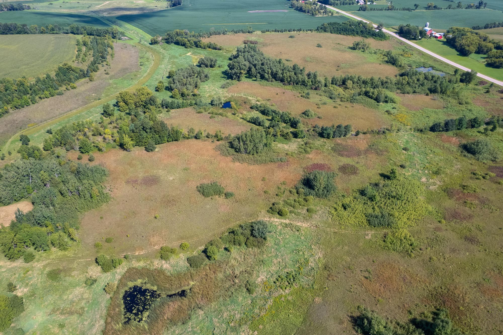 Tbd 211th Avenue Le Center, MN 56057 - Photo 23 of 37