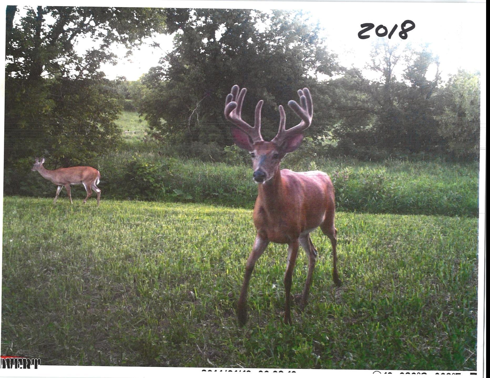 Tbd 211th Avenue Le Center, MN 56057 - Photo 34 of 37