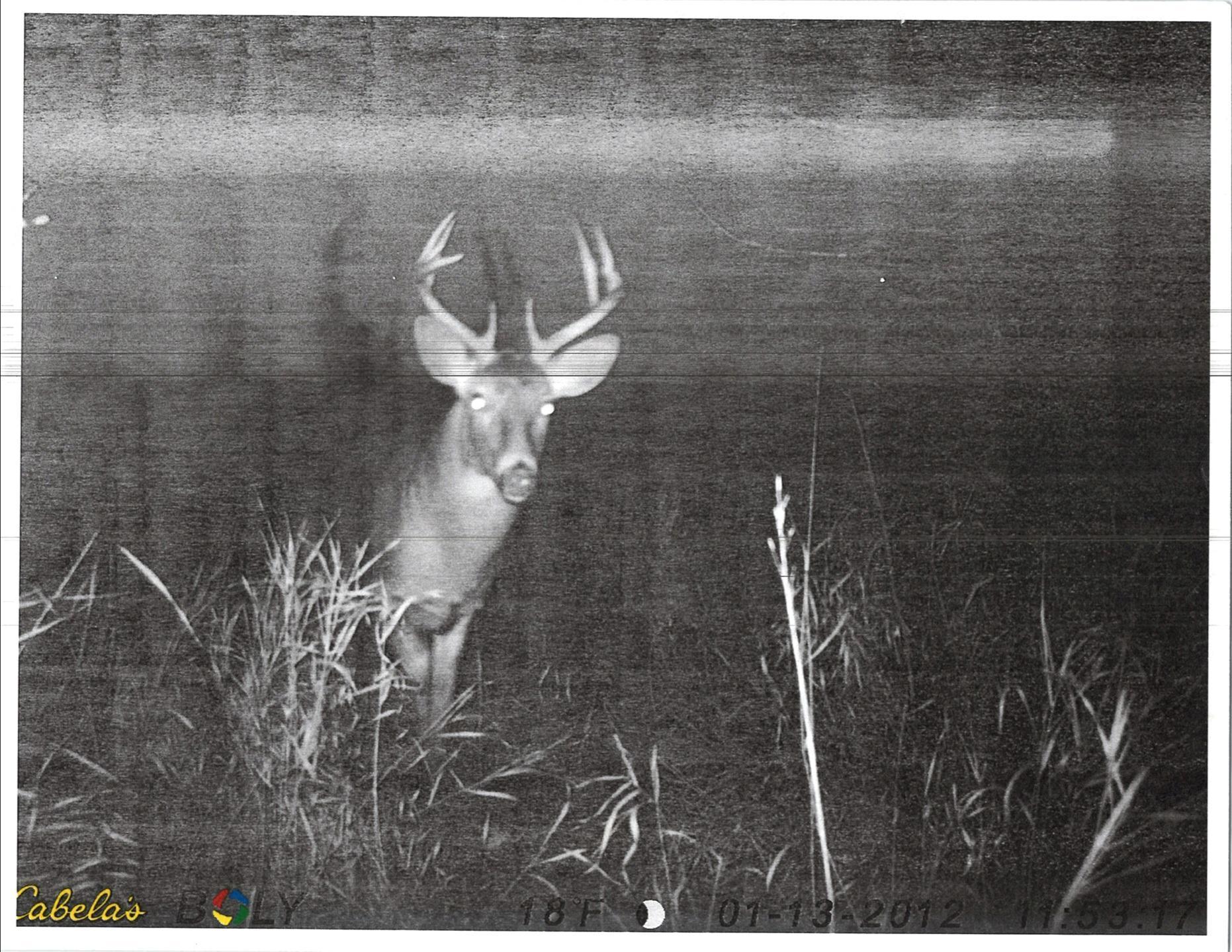 Tbd 211th Avenue Le Center, MN 56057 - Photo 35 of 37