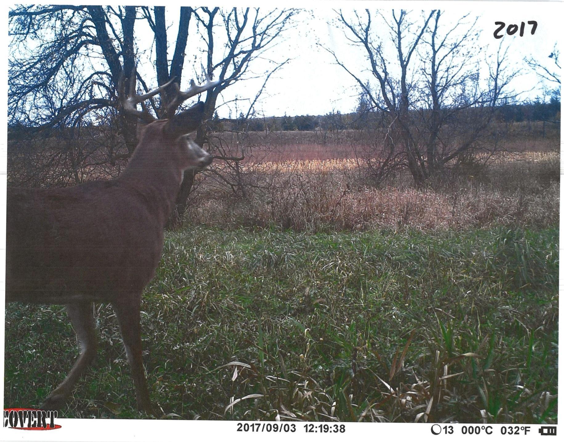 Tbd 211th Avenue Le Center, MN 56057 - Photo 36 of 37