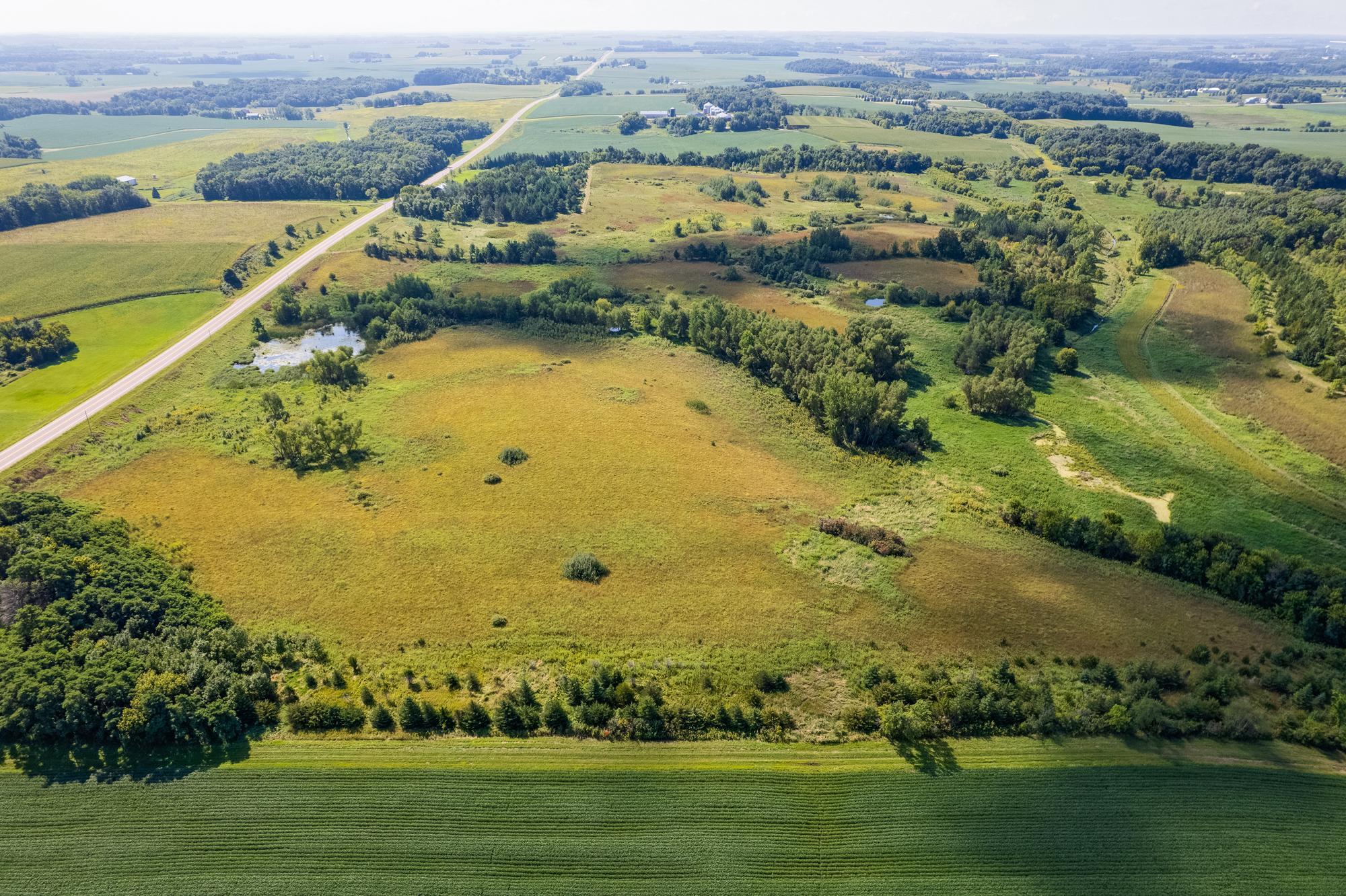 Tbd 211th Avenue Le Center, MN 56057 - Photo 6 of 37