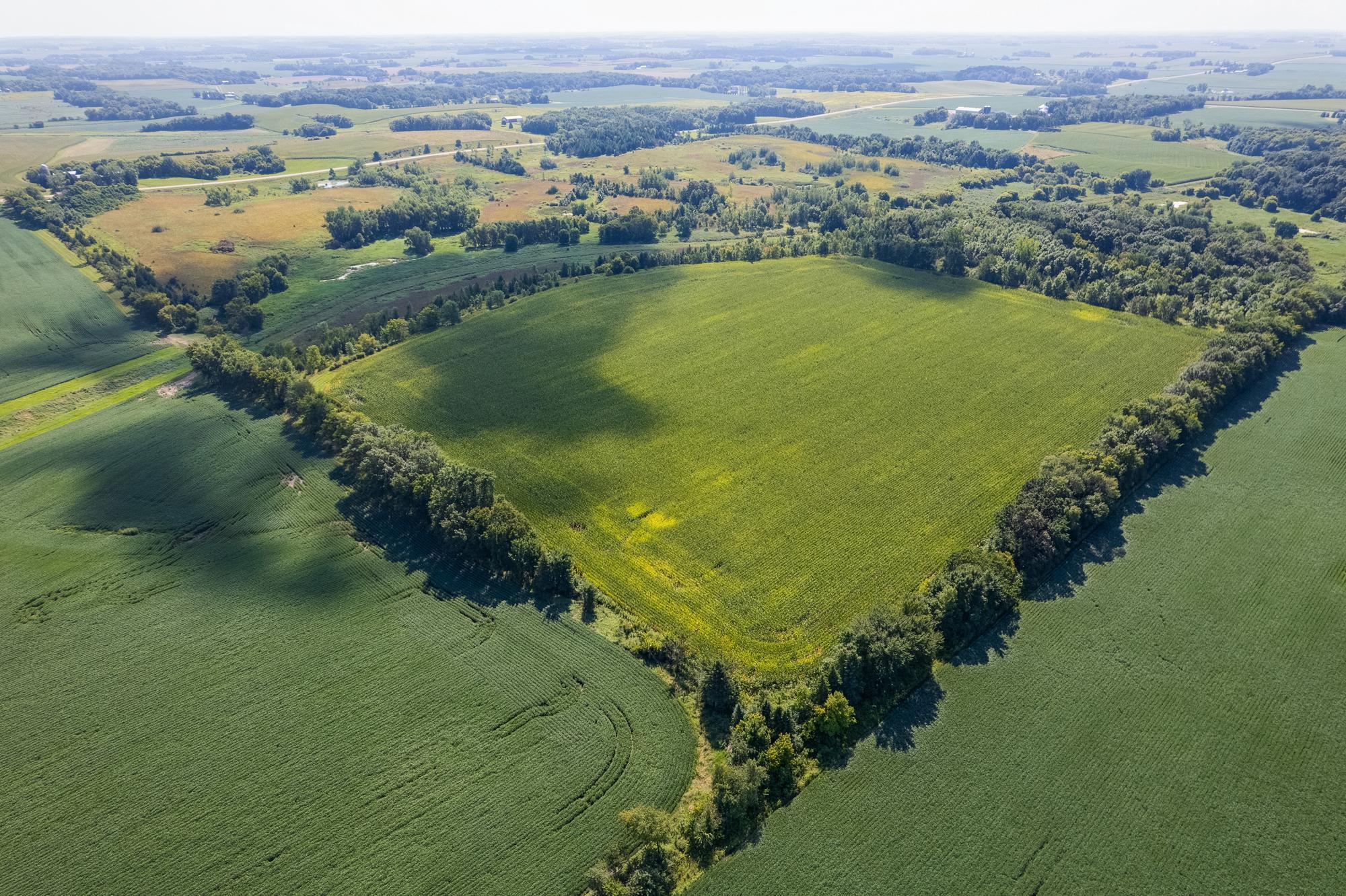 Tbd 211th Avenue Le Center, MN 56057 - Photo 8 of 37