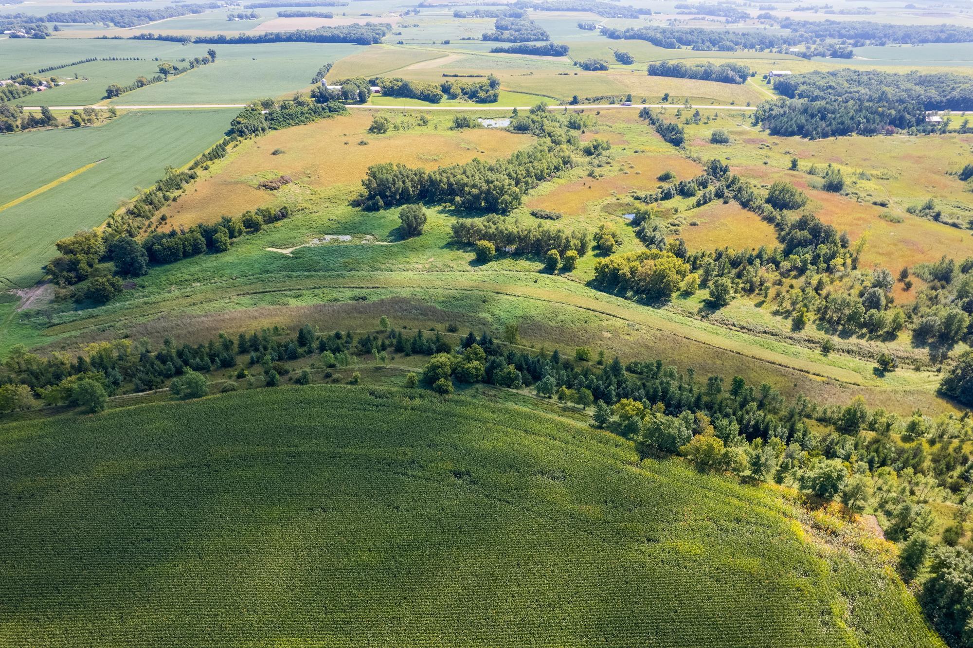 Tbd 211th Avenue Le Center, MN 56057 - Photo 9 of 37